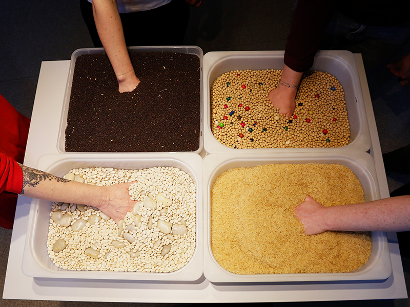 Die Sensorische Therapie ist ein Teil der Arbeit in der Praxis Ergotherapie Fallahi in Gifhorn.